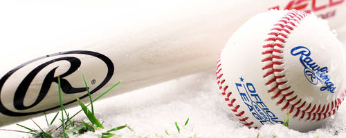 Everything You Need to Know About Wood Baseball Bats