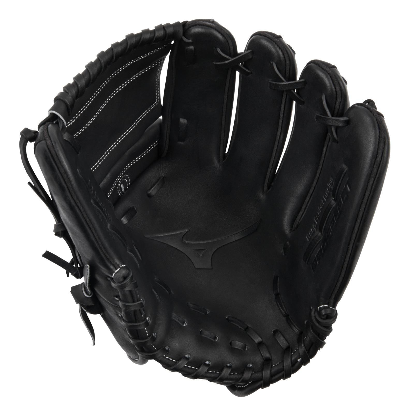 Mizuno Pro Select Premium 12