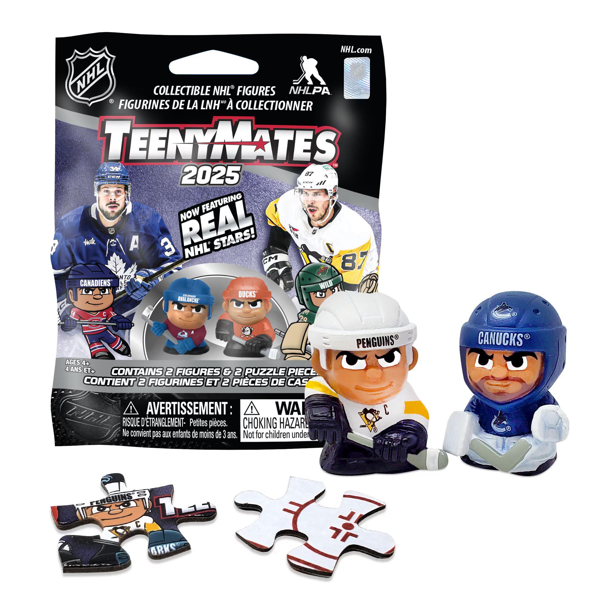Party Animal NHL TeenyMates Mystery Figure/ Puzzle Pack | Source