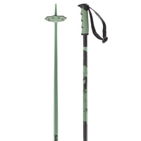 Salomon Steep Alpine Ski Poles - Iceberg Green/Black