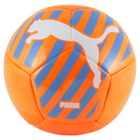 Ballon De Football Gros Chat De Puma