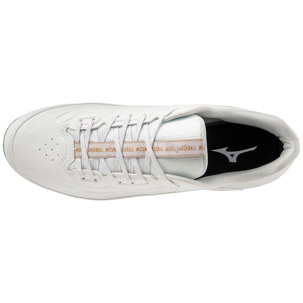 Mizuno 9-Spike Ambition 3 Low Metal Baseball Cleats | Source for