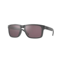 Oakley Holbrook Sunglasses - Prizm Daily Polarized Lenses and Steel Frame