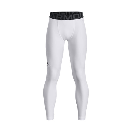 1361738 Under Armour HeatGear Armour Boy's Leggings | Source for Sports